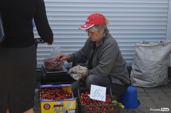 Ягідно-овочевий сезон: які ціни на луцькому базарі