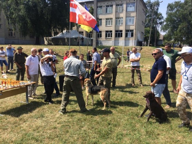 У Володимирі відбулась виставка собак. ФОТО