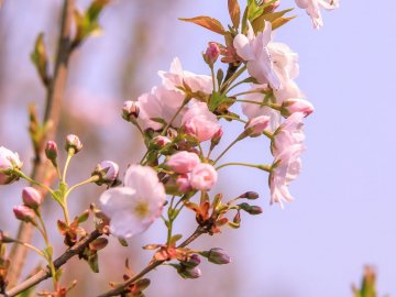 Синоптик розповіла, коли до України прийде довгоочікуване потепління 