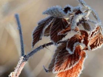 Якою буде погода на Волині на Водохреще