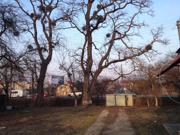 У Луцьку в будинку  українського письменника навчатимуть  дітей творити. ФОТО