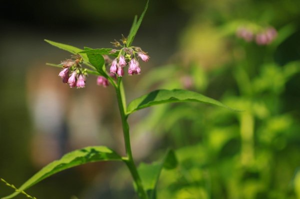 Фотовиставка Василя Лопуховича