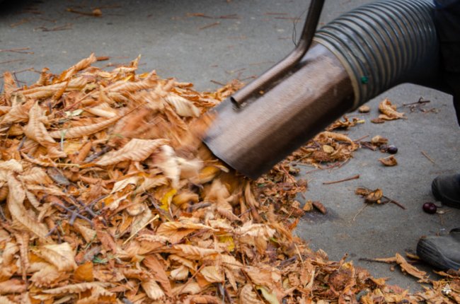 На Волині комунальники купили «порохотяг» для листя. ФОТО