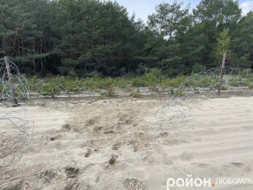 На Волині загинув олень, який намагався прорватися крізь прикордонне загородження. ФОТО 18+ 