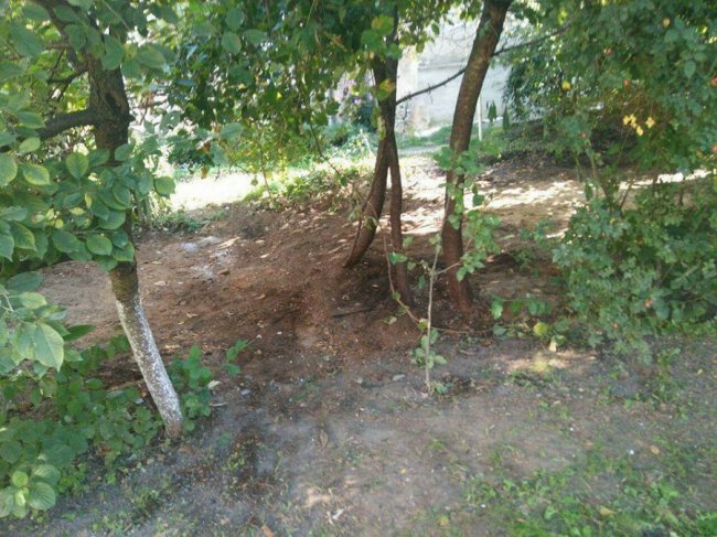 На вулиці в Луцьку демонтували сараї. ФОТО