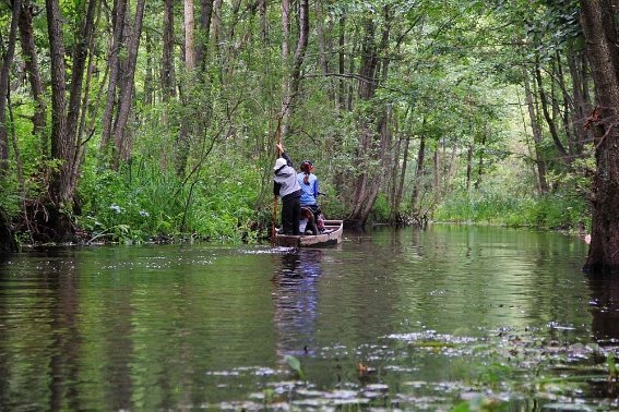 Фотовиставка Сергія Палька