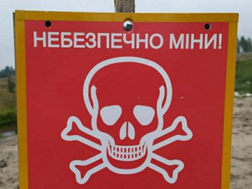 Територія вздовж кордону з Білоруссю замінована: волинянам нагадали правила пересування