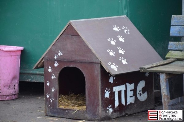 Депутати Луцькради перевірили, як живеться тваринам. ФОТО 