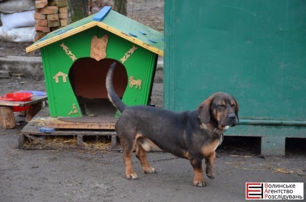 Депутати Луцькради перевірили, як живеться тваринам. ФОТО 