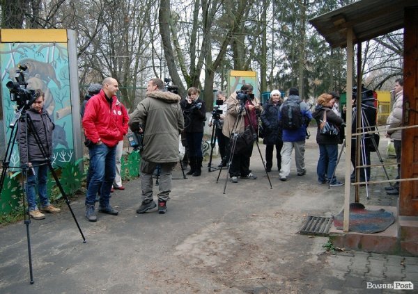Іноземці забрали ведмежа із луцького зоопарку. ФОТО. ВІДЕО