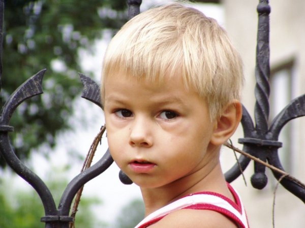 Фотовиставка Олександра Пизи