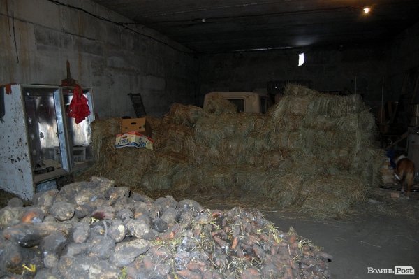 Як гріються тварини у Луцькому зоопарку. ФОТО