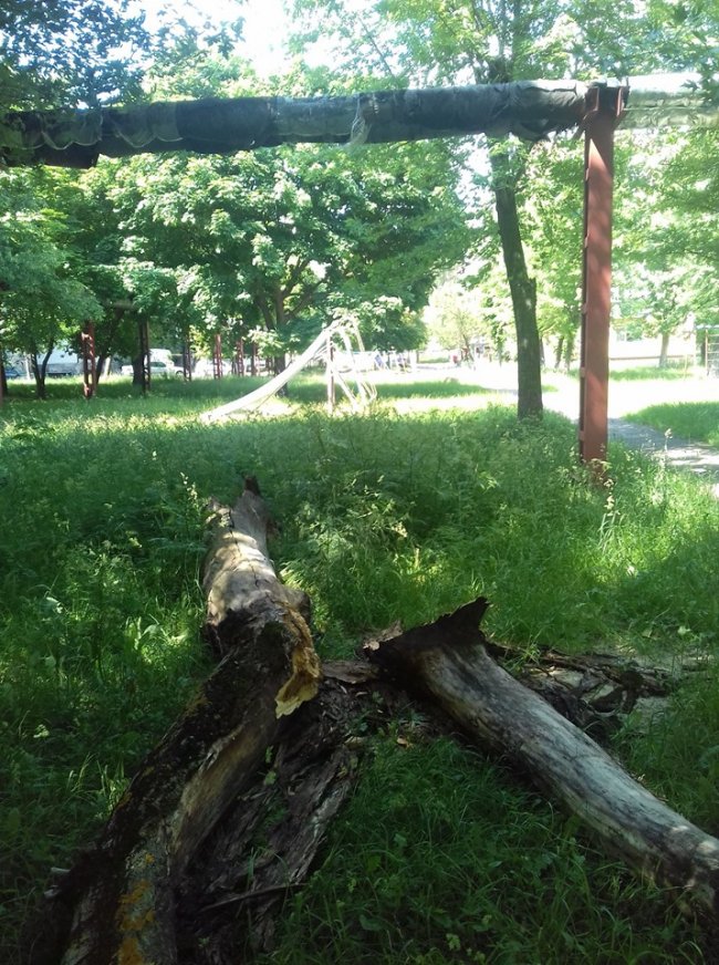 «Суцільний чагарник», – волинянка про своє місто. ФОТО