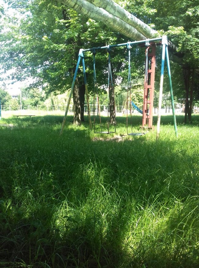 «Суцільний чагарник», – волинянка про своє місто. ФОТО