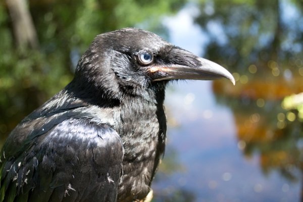 Фотовиставка Валентини Жуги