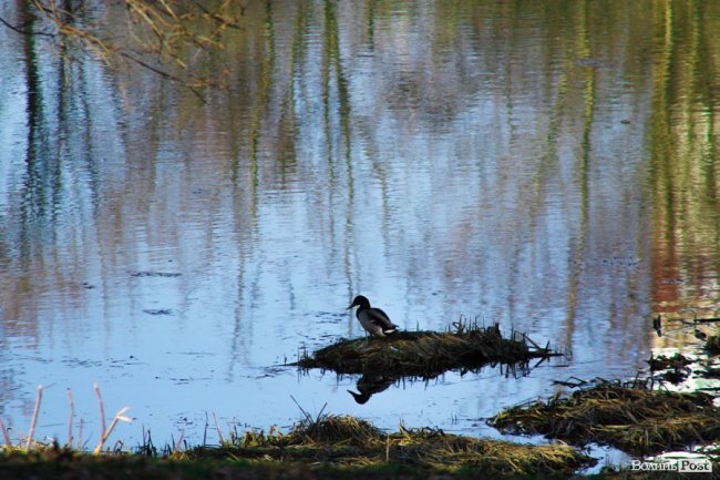 Пасхальні дні у Луцьку. ФОТО