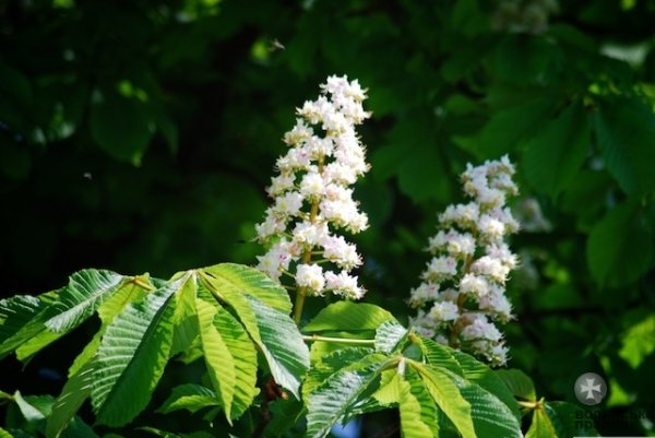 Першотравневий Луцьк. ФОТО