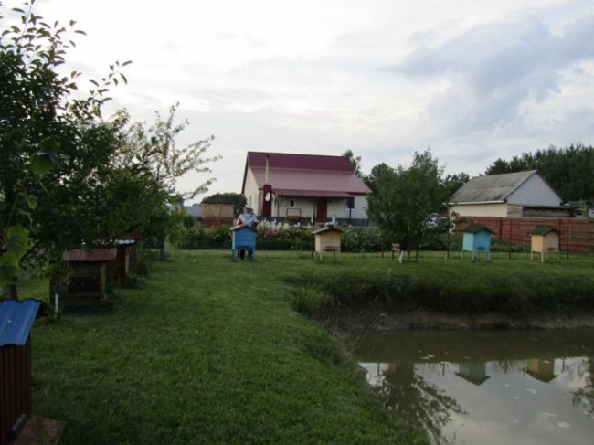 Волинський священик похвалився своєю пасікою. ФОТО