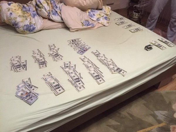 На Рівненщині тривають обшуки в учасників «бурштинової мафії». ФОТО