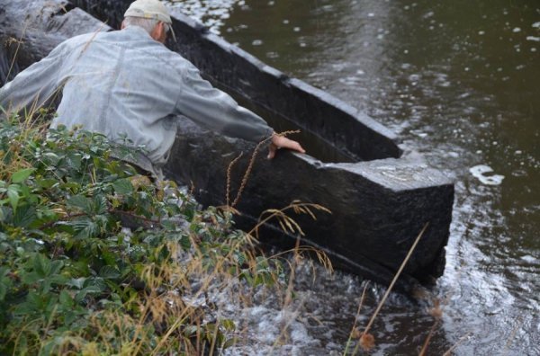 Унікальні світлини: як піднімали з води старовинний човен. ФОТО. ВІДЕО