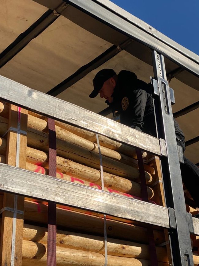 Через «Ягодин» намагалися незаконно вивезти з України 29 тонн сосни 