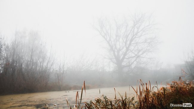 Туманний Луцьк: неймовірні фото 