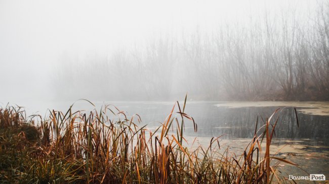 Туманний Луцьк: неймовірні фото 