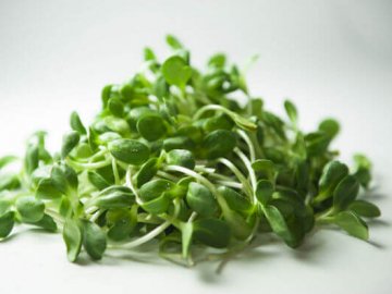 Дієтологи назвали 5 найкорисніших видів зелені