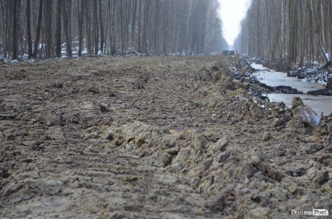 Лісівники показали, як підкорюють волинські джунглі. ФОТО