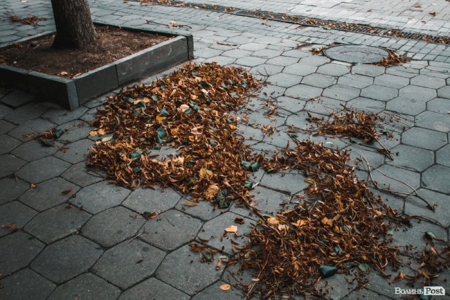 Похмура осінь у Луцьку. ФОТО
