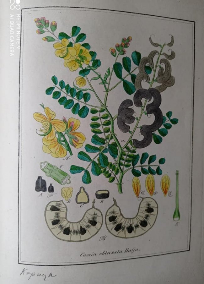 До волинського музею передали книгу, яку видали у 1855 році та 100-літній ілюстрований журнал. ФОТО