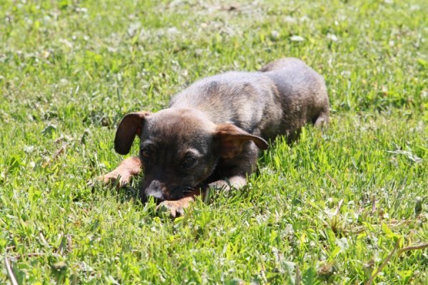 Фотовиставка Олександра Пизи