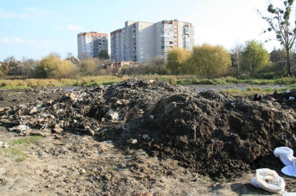 «Історія нас розсудить», – мер Луцька критикам очистки Сапалаївки