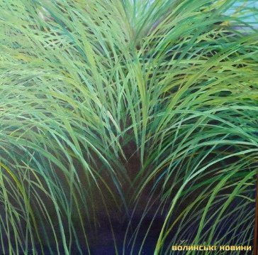 У луцькій Галереї мистецтв – виставка волинської художниці Світлани Костукевич