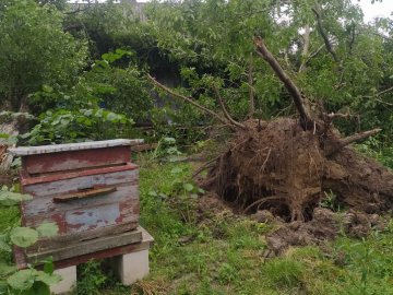 На Волині буревій наробив лиха: на яку компенсацію розраховувати людям. ФОТО. ВІДЕО