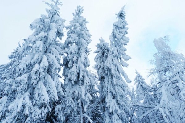 Фотовиставка Тетяни Кірчук