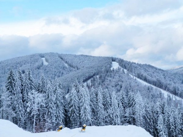 Фотовиставка Тетяни Кірчук
