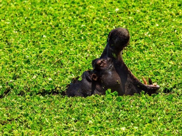 Фантастичні знімки американського фотографа пам'яток з усього світу. ФОТО