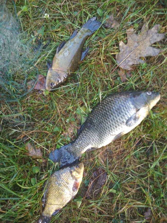 На Волині на території гідрологічної пам'ятки рибпатруль спіймав браконьєрів. ФОТО