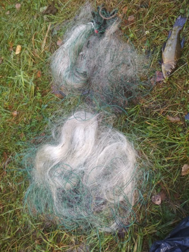 На Волині на території гідрологічної пам'ятки рибпатруль спіймав браконьєрів. ФОТО