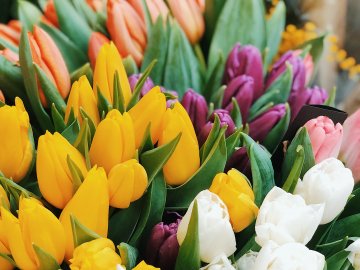 Розповіли, що цікавого відбудеться у «Промені» в березні*