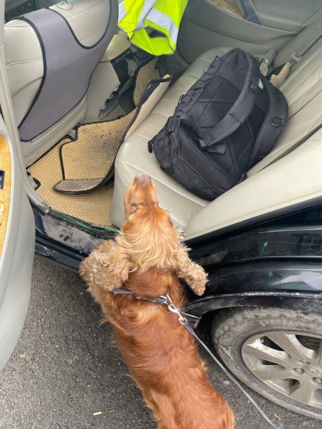 Через волинський кордон водійка намагалась провезти до Польщі 17 кілограмів наркотиків. ФОТО