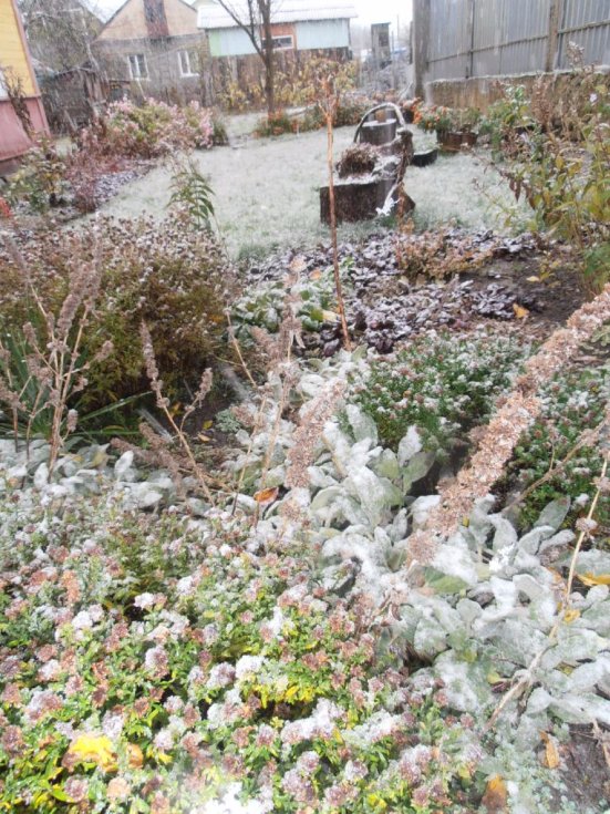 Мокрий і лапатий: на Волині - сніг. ФОТО