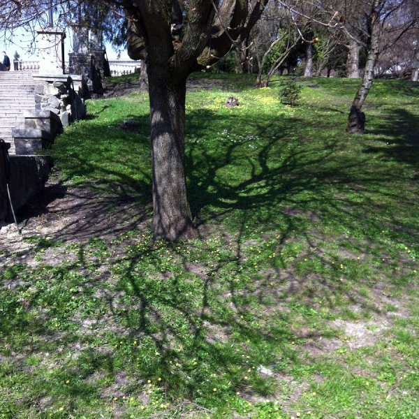 Фотовиставка Лідії Кожевнікової