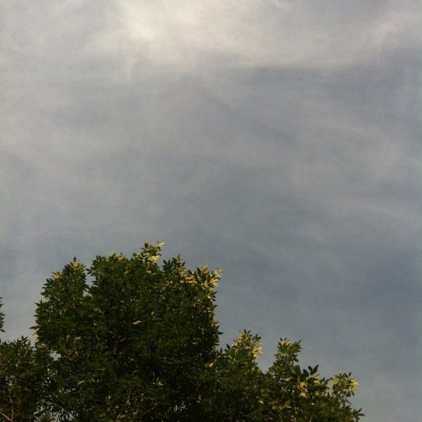 Фотовиставка Лідії Кожевнікової