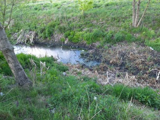 Купи сміття та обміління: показали, який вигляд має озеро у Ківерцях. ФОТО