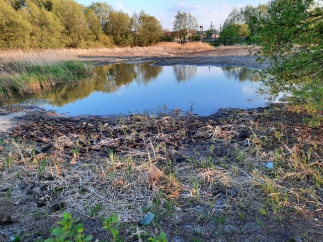 Купи сміття та обміління: показали, який вигляд має озеро у Ківерцях. ФОТО
