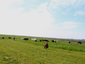 Зобов'язався створити у селі пасовища: підприємець з Волині привласнив понад 90 тисяч гривень