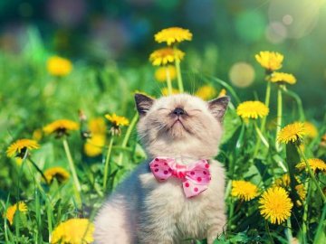 Погода в Луцьку та Волинській області на неділю, 22 серпня