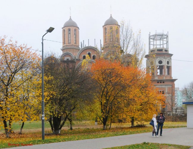 «Останнє золото»: фотограф показав осінню красу Луцька